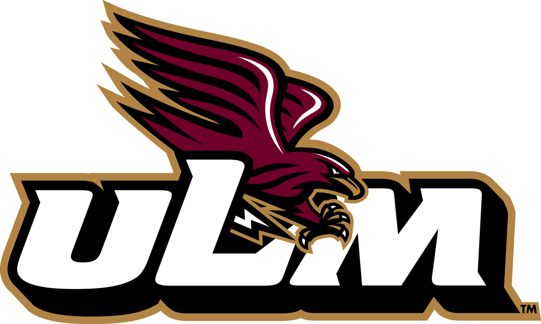 Louisiana-Monroe Warhawks 2006-2010 Alternate Logo 04 iron on paper